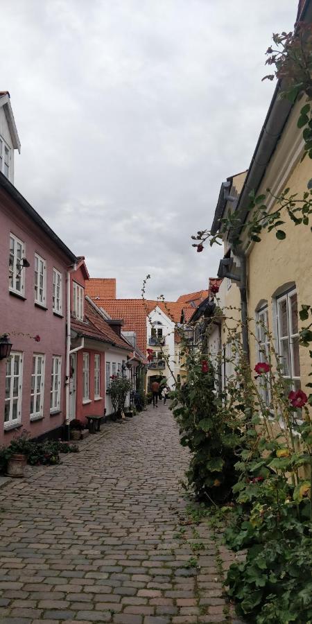 Apartment In The Heart Of Aalborg Ngoại thất bức ảnh